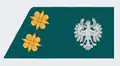 Oberleutnant (Lieutenant) Tyrol