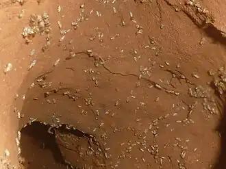 Workers in ventilation tunnel