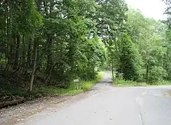 Old Elbow Lane within the township