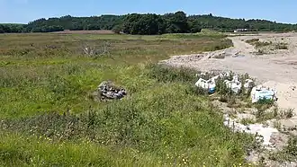 The remains of the wine cellar in situ in June 2024, looking northwards to Glen Ding forest
