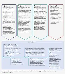 Organoid intelligence (OI) action plan and research trajectories