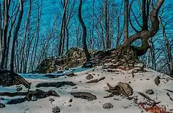 Ruins of Ostrężnik Castle in winter