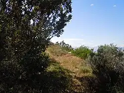 View from Korentebos looking up