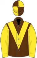 Brown, yellow chevron and sleeves, quartered cap