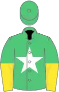 Emerald green, white star, yellow halved sleeves, emerald green cap