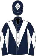 Dark blue, white chevron, diabolo on sleeves and diamond on cap