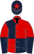 Red and dark blue (quartered), halved sleeves, dark blue cap, red star