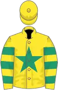Yellow, emerald green star, yellow and emerald green hooped sleeves