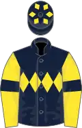Dark blue, yellow triple diamond, yellow sleeves, dark blue armlets, dark blue cap, yellow diamonds