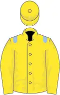 Yellow, light blue epaulets