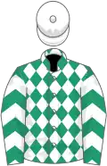 Emerald green and white diamonds, chevrons on sleeves, white cap
