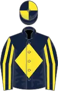 Dark blue, yellow diamond, striped sleeves, quartered cap