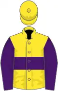 Yellow, purple hoop and sleeves