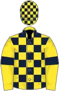 Yellow and dark blue checked, yellow sleeves, dark blue armlets, checked cap