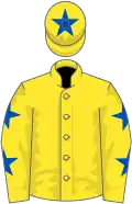 Yellow, royal blue stars on sleeves, star on cap