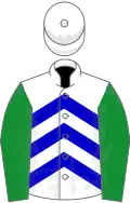 White and blue chevrons, green sleeves, white cap