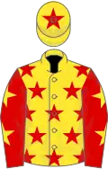Yellow, red stars, red sleeves, yellow stars, yellow cap, red star