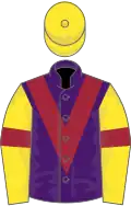Purple, maroon chevron, yellow sleeves, maroon armlets, yellow cap