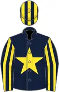 Dark blue, yellow star, striped sleeves and cap