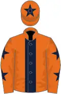 Orange, dark blue stripe, orange sleeves, dark blue stars, orange cap, dark blue star