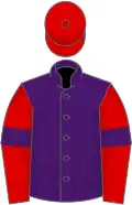 Purple, Red sleeves, Purple armlets, Red cap