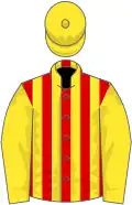 Red and yellow stripes, yellow sleeves and cap