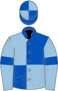 Royal blue and light blue (quartered), light blue sleeves, royal blue armlets
