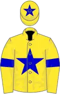 Yellow, blue star and armlets, star on cap