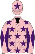 Pink, purple stars, diabolo on sleeves and star on cap