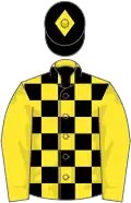 YELLOW and BLACK CHECK, yellow sleeves, black cap, yellow diamond