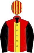 Red, yellow panel, black sleeves, red and yellow striped cap