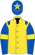 Yellow, royal blue epaulets, royal blue sleeves, yellow armlets and star on royal blue cap
