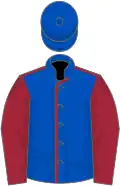 Royal blue, maroon seams and sleeves