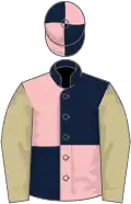 Dark blue and pink quartered, beige sleeves, dark blue and pink quartered cap