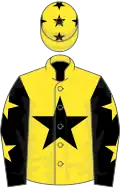 Yellow, black star, black sleeves, yellow stars, yellow cap, black stars