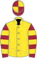 Yellow, maroon and yellow hooped sleeves, quartered cap