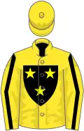 Yellow, black shield, halved sleeves, yellow cap