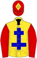 Yellow, blue cross of lorraine, red sleeves, red cap, yellow diamond