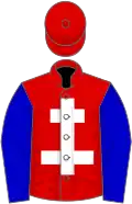 Red, white cross of lorraine, blue sleeves, red cap