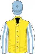 Yellow, White sleeves, Light Blue stripes, Light Blue cap