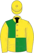 Yellow and green (quartered), yellow sleeves, yellow armlets, striped cap