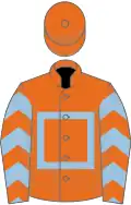 Orange, light blue hollow box, chevrons on sleeves
