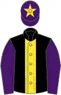 Black, yellow stripe, purple sleeves, purple cap, yellow star