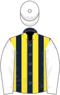 Dark Blue and Yellow stripes, White sleeves and cap