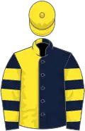 Dark blue and yellow (halved), hooped sleeves, yellow cap