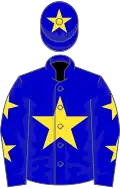 Blue, Yellow star, Yellow stars on sleeves, Yellow star on cap