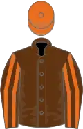 Brown, orange striped sleeves, orange cap