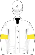 White, yellow armlets