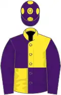 Yellow and purple (quartered), purple sleeves, purple cap, yellow spots