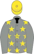 Grey, yellow stars on body, yellow cap